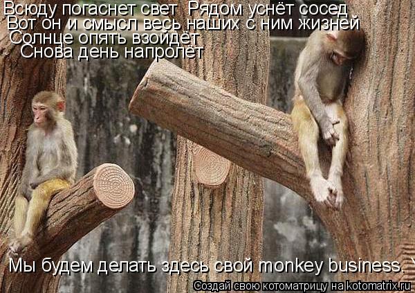 Котоматрица: Всюду погаснет свет  Рядом уснёт сосед Вот он и смысл весь наших с ним жизней Солнце опять взойдёт   Снова день напролёт  Мы будем делать зде