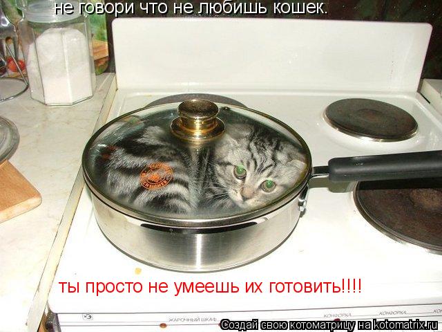 Котоматрица: не говори что не любишь кошек.  ты просто не умеешь их готовить!!!!