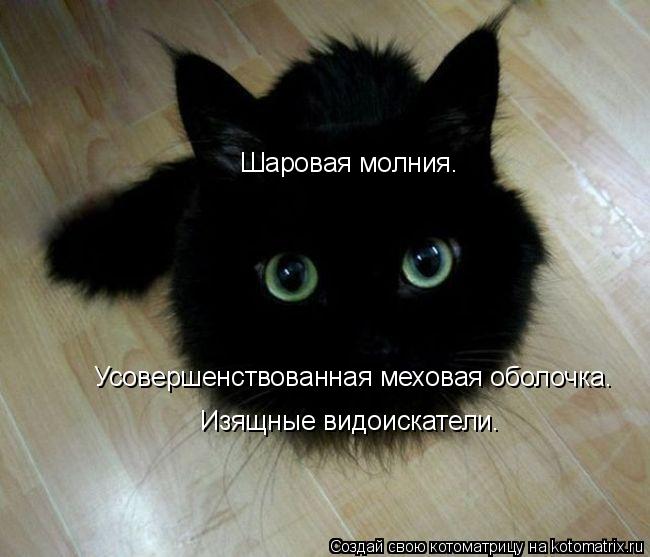 Котоматрица: Шаровая молния. Усовершенствованная меховая оболочка. Изящные видоискатели.
