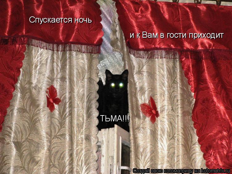 Спускается ночь и к Вам в гости приходит ТЬМА!!!... Котоматрица: Спускается ночь и к Вам в гости приходит ТЬМА!!!