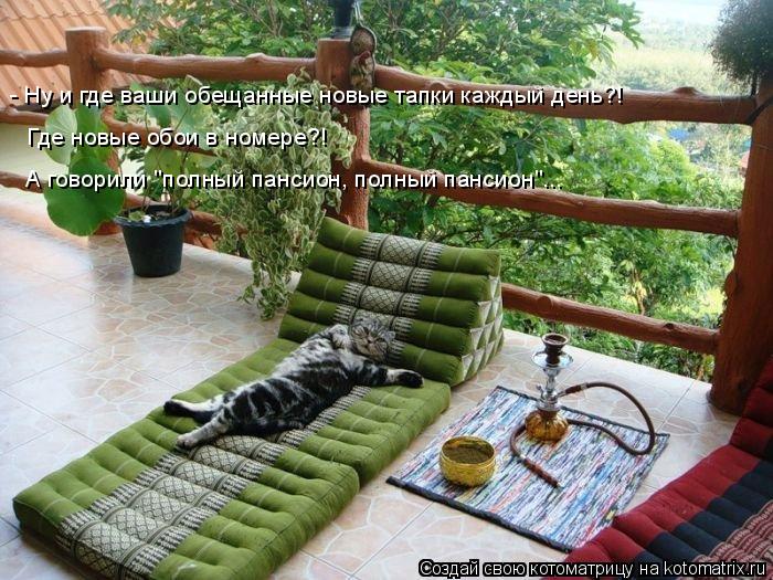 - Ну и где ваши обещанные новые тапки каждый день?! Где новые обои в номере?! А говорили "полный панс... Котоматрица: - Ну и где ваши обещанные новые тапки каждый день?! Где новые обои в номере?! А говорили "полный пансион, полный пансион"...