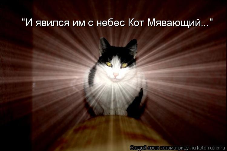 "И явился им с небес Кот Мявающий..."... Котоматрица: "И явился им с небес Кот Мявающий..."