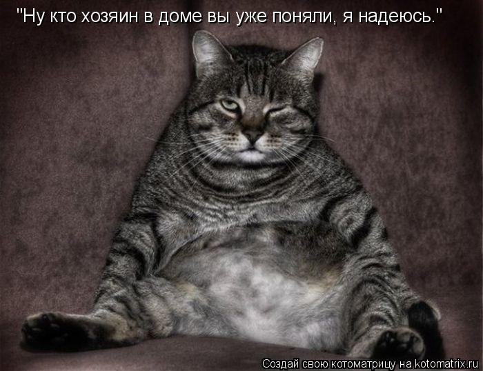 "Ну кто хозяин в доме вы уже поняли, я надеюсь."... Котоматрица: "Ну кто хозяин в доме вы уже поняли, я надеюсь."