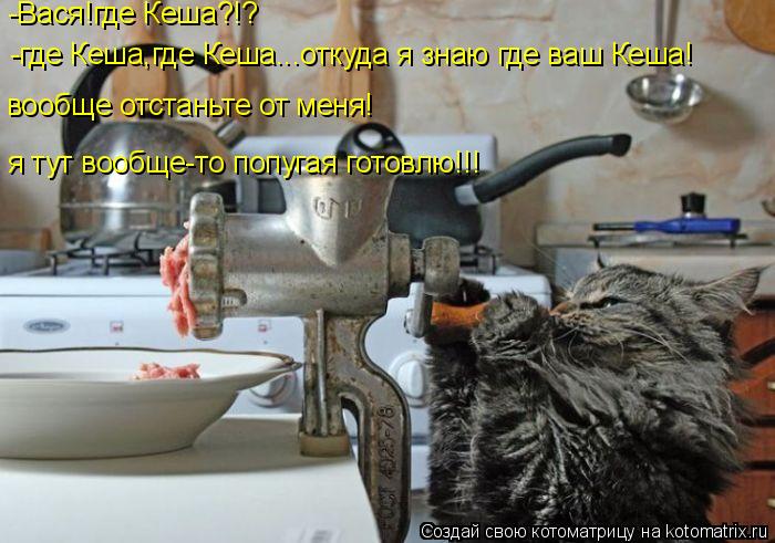 -Вася!где Кеша?!? -где Кеша,где Кеша...откуда я знаю где ваш Кеша! вообще отстаньте от меня! я тут во... Котоматрица: -Вася!где Кеша?!? -где Кеша,где Кеша...откуда я знаю где ваш Кеша! вообще отстаньте от меня! я тут вообще-то попугая готовлю!!!