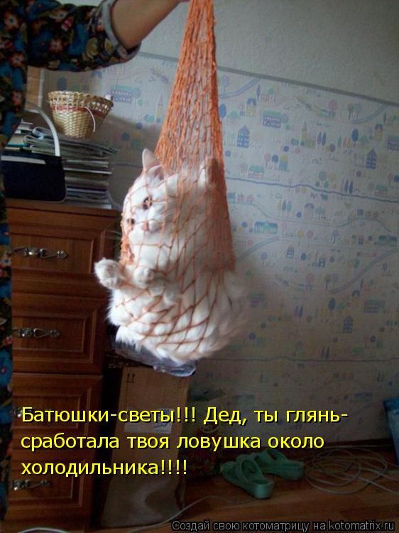 Котоматрица: Батюшки-светы!!! Дед, ты глянь- сработала твоя ловушка около холодильника!!!!