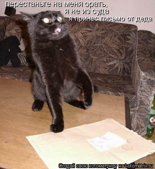 перестаньте на меня орать, я принес письмо от деда я не из суда... Котоматрица: перестаньте на меня орать, я принес письмо от деда я не из суда