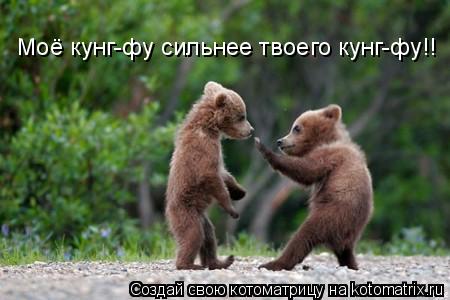 Моё кунг-фу сильнее твоего кунг-фу!!... Котоматрица: Моё кунг-фу сильнее твоего кунг-фу!!