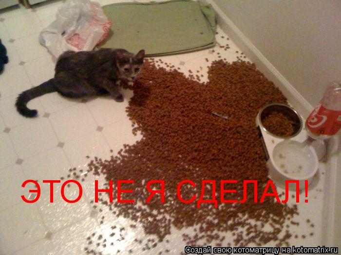 ЭТО НЕ Я СДЕЛАЛ!... Котоматрица: ЭТО НЕ Я СДЕЛАЛ!