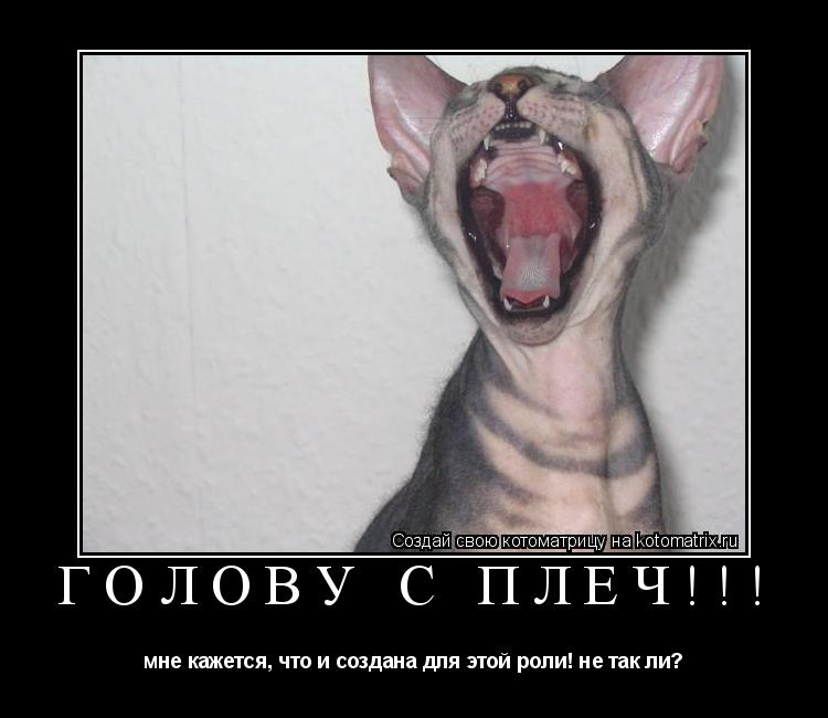 ГОЛОВУ С ПЛЕЧ!!! мне кажется, что и создана для этой роли! не так ли?... Котоматрица: ГОЛОВУ С ПЛЕЧ!!! мне кажется, что и создана для этой роли! не так ли?