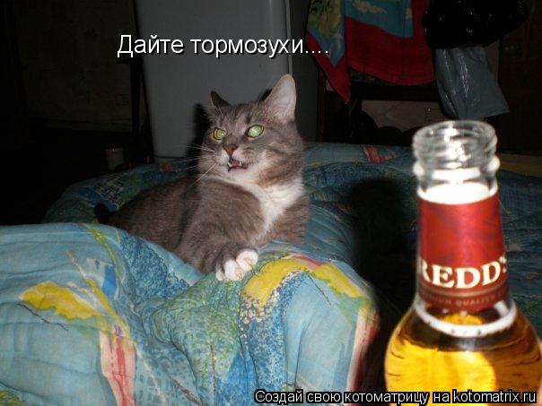 Дайте тормозухи....... Котоматрица: Дайте тормозухи....