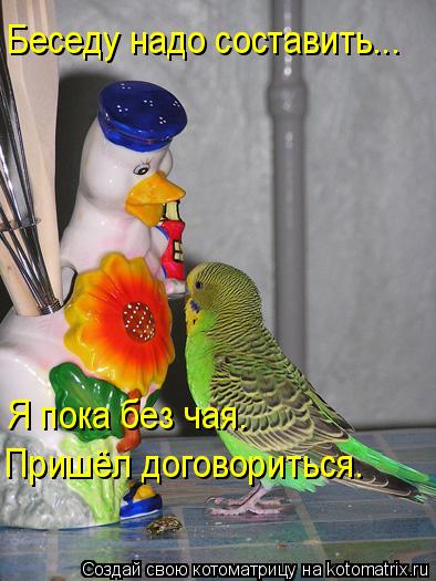 Беседу надо составить... Я пока без чая. Пришёл договориться.... Котоматрица: Беседу надо составить... Я пока без чая. Пришёл договориться.