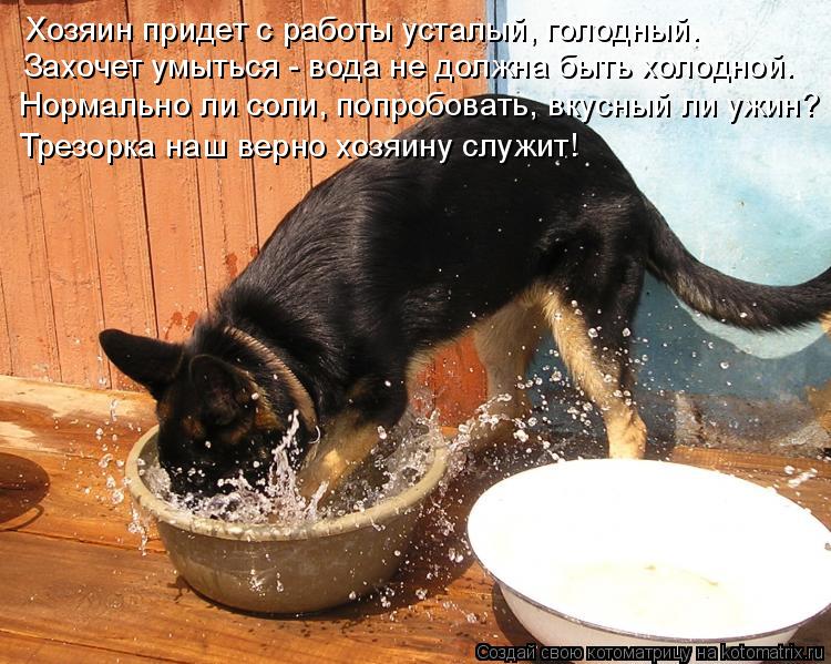 Хозяин придет с работы усталый, голодный. Захочет умыться - вода не должна быть холодной. Нормально л... Котоматрица: Хозяин придет с работы усталый, голодный. Захочет умыться - вода не должна быть холодной. Нормально ли соли, попробовать, вкусный ли ужин? Тр
