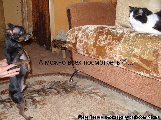 Котоматрица: А можно всех посмотреть??...