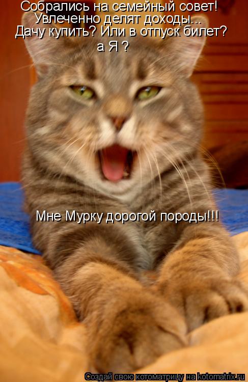 Собрались на семейный совет! Увлеченно делят доходы... Дачу купить? Или в отпуск билет? а Я ? Мне Мур... Котоматрица: Собрались на семейный совет! Увлеченно делят доходы... Дачу купить? Или в отпуск билет? а Я ? Мне Мурку дорогой породы!!!