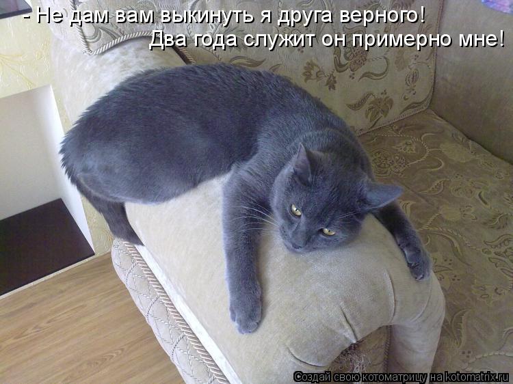 - Не дам вам выкинуть я друга верного! Два года служит он примерно мне!... Котоматрица: - Не дам вам выкинуть я друга верного! Два года служит он примерно мне!