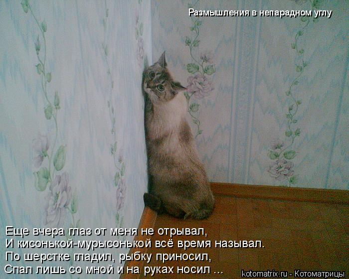 Размышления в непарадном углу Спал лишь со мной и на руках носил ... По шерстке гладил, рыбку приноси... Котоматрица: Размышления в непарадном углу Спал лишь со мной и на руках носил ... По шерстке гладил, рыбку приносил, И кисонькой-мурысонькой всё время наз