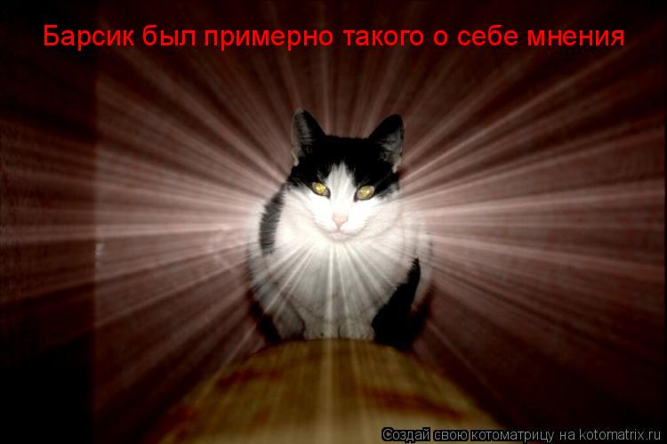 Барсик был примерно такого о себе мнения... Котоматрица: Барсик был примерно такого о себе мнения