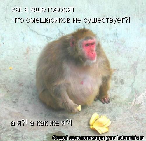 ха! а еще говорят что смешариков не существует?! а я?! а как же я?!... Котоматрица: ха! а еще говорят что смешариков не существует?! а я?! а как же я?!