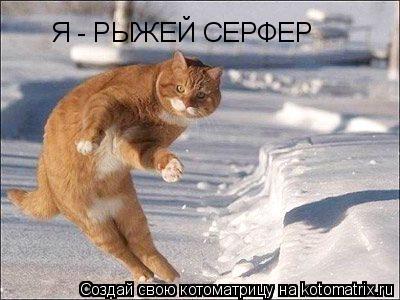 Котоматрица: Я - РЫЖЕЙ СЕРФЕР