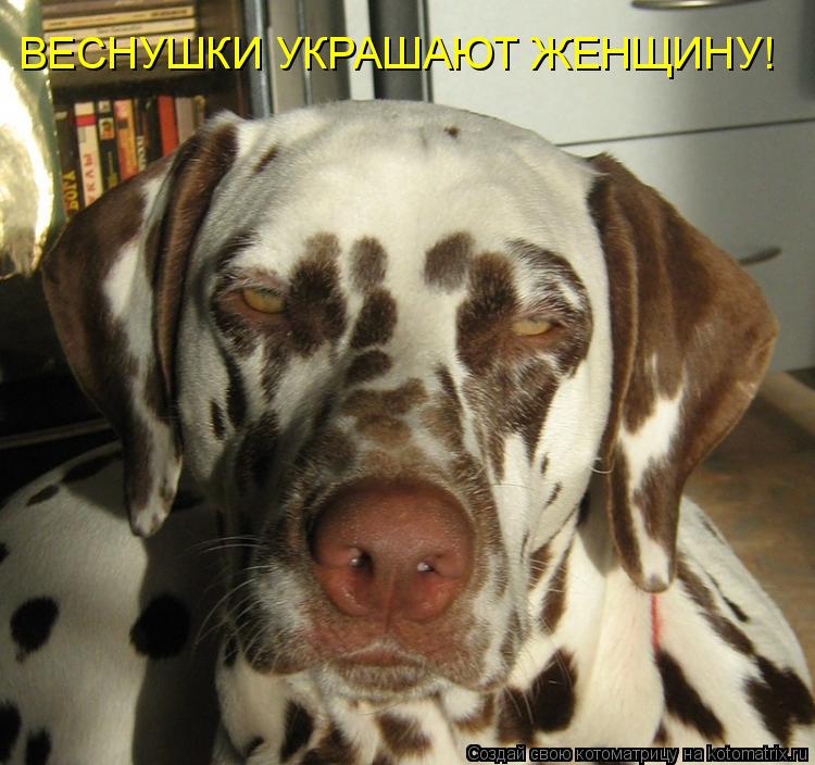 ВЕСНУШКИ УКРАШАЮТ ЖЕНЩИНУ!... Котоматрица: ВЕСНУШКИ УКРАШАЮТ ЖЕНЩИНУ!