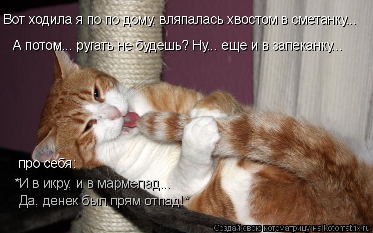 А потом... ругать не будешь? Ну... еще и в запеканку... *И в икру, и в мармелад... Да, денек был прям... Котоматрица: А потом... ругать не будешь? Ну... еще и в запеканку... *И в икру, и в мармелад... Да, денек был прям отпад!* Вот ходила я по по дому, вляпалась хвост