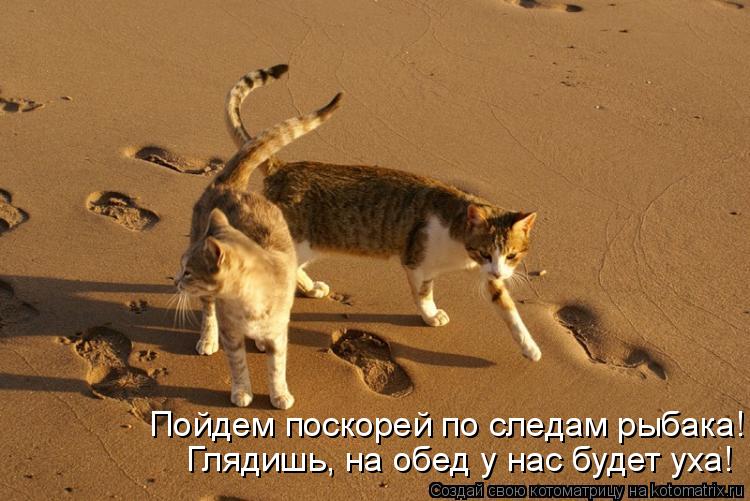 Пойдем поскорей по следам рыбака! Глядишь, на обед у нас будет уха!... Котоматрица: Пойдем поскорей по следам рыбака! Глядишь, на обед у нас будет уха!