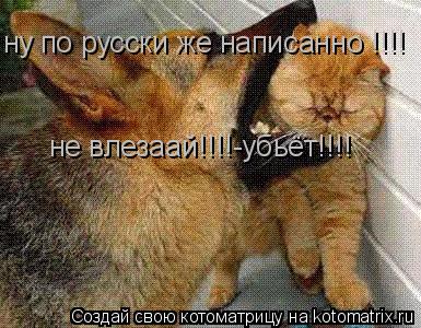 ну по русски же написанно !!!! не влезаай!!!!-убьёт!!!!... Котоматрица: ну по русски же написанно !!!! не влезаай!!!!-убьёт!!!!