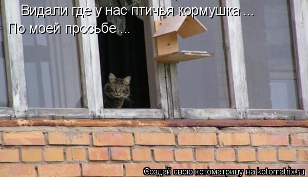 Видали где у нас птичья кормушка ... По моей просьбе ...... Котоматрица: Видали где у нас птичья кормушка ... По моей просьбе ...