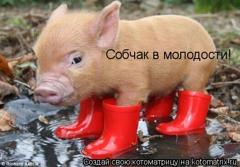 Собчак в молодости!... Котоматрица: Собчак в молодости!