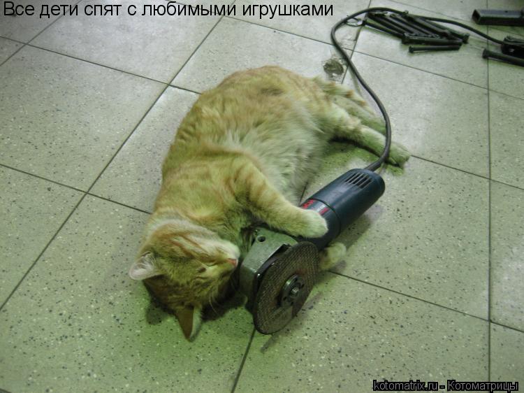 Котоматрица: Все дети спят с любимыми игрушками