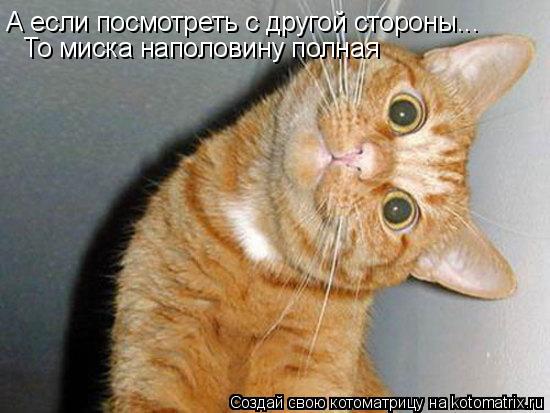 Котоматрица: А если посмотреть с другой стороны... То миска наполовину полная
