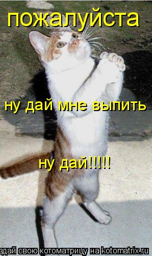 Котоматрица: ну дай!!!!!  ну дай мне выпить пожалуйста