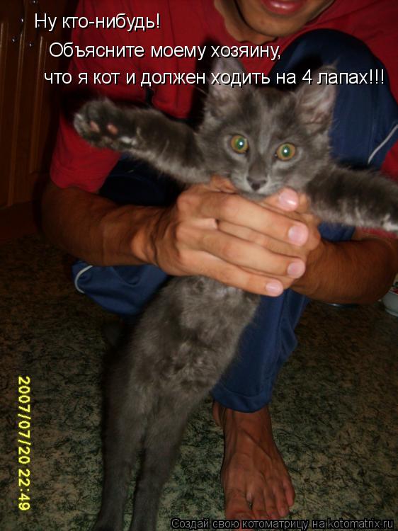 Котоматрица: Ну кто-нибудь! Объясните моему хозяину, что я кот и должен ходить на 4 лапах!!! Ну кто-нибудь!  Объясните моему хозяину,  что я кот и должен ходи