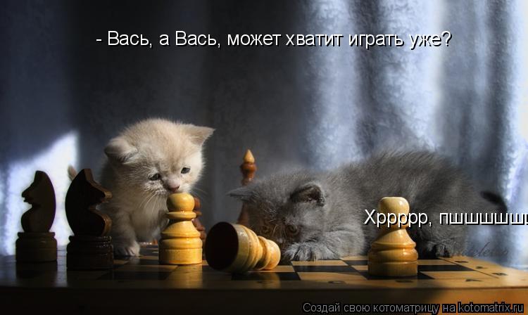 Котоматрица: - Вась, а Вась, может хватит играть уже? Хррррр, пшшшшшшшшш.....