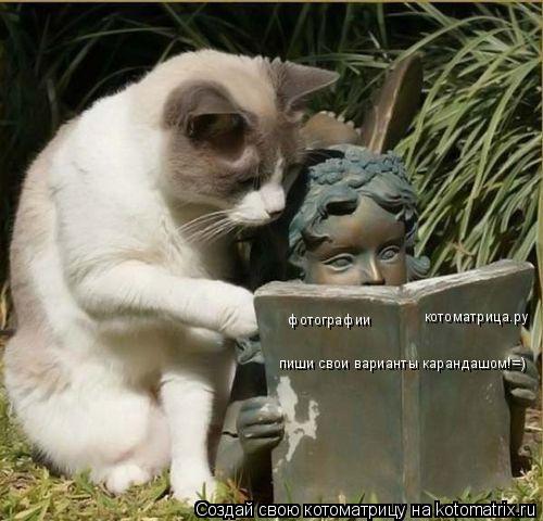 Котоматрица: котоматрица.ру фотографии пиши свои варианты карандашом!=)