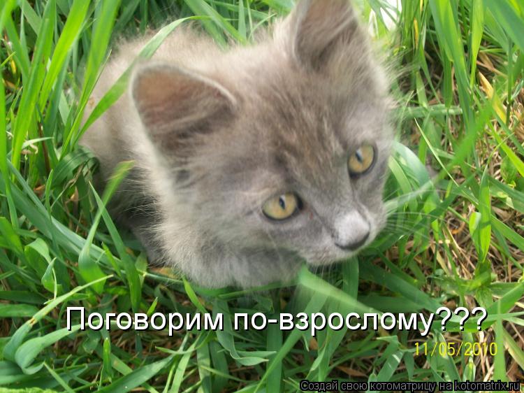 Котоматрица: Поговорим по-взрослому???