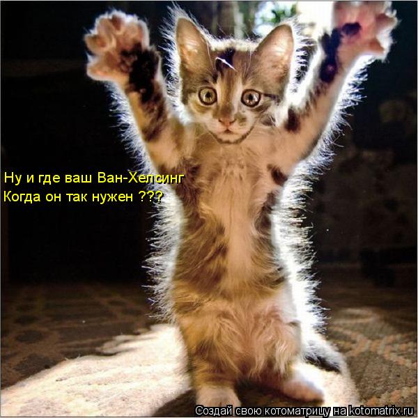 Котоматрица: Ну и где ваш Ван-Хелсинг Когда он так нужен ???