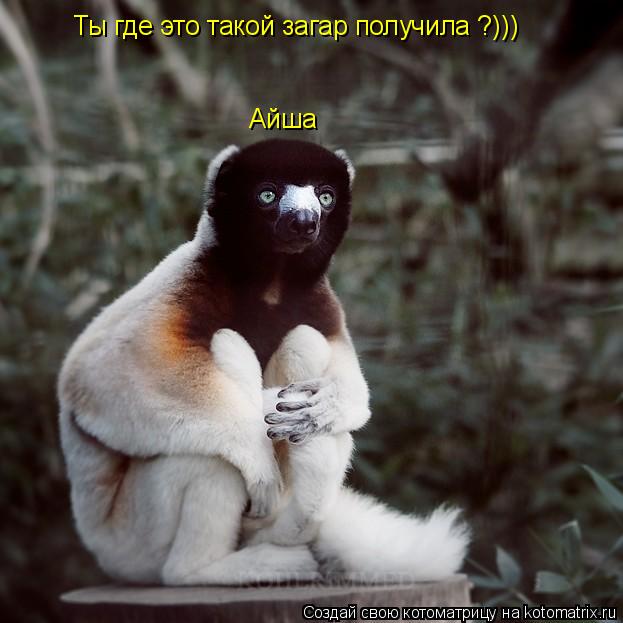 Котоматрица: Айша Ты где это такой загар получила ?)))