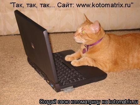 Котоматрица: "Так, так, так... Сайт: www.kotomatrix.ru"