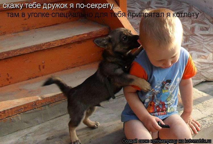 Котоматрица: скажу тебе дружок я по-секрету... там в уголке специально для тебя припрятал я котлету