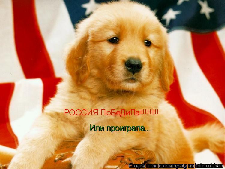 Котоматрица: РОССИЯ ПоБеДиЛа!!!!!!!! Или проиграла...