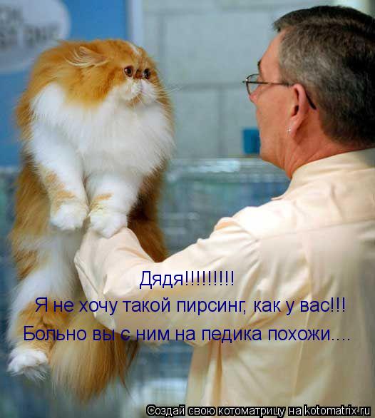 Котоматрица: Дядя!!!!!!!!! Я не хочу такой пирсинг, как у вас!!! Больно вы с ним на педика похожи....