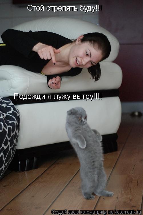 Стой стрелять буду!!! Подожди я лужу вытру!!!!... Котоматрица: Стой стрелять буду!!! Подожди я лужу вытру!!!!
