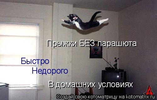 Быстро Прыжки БЕЗ парашюта Недорого В домашних условиях... Котоматрица: Быстро Прыжки БЕЗ парашюта Недорого В домашних условиях