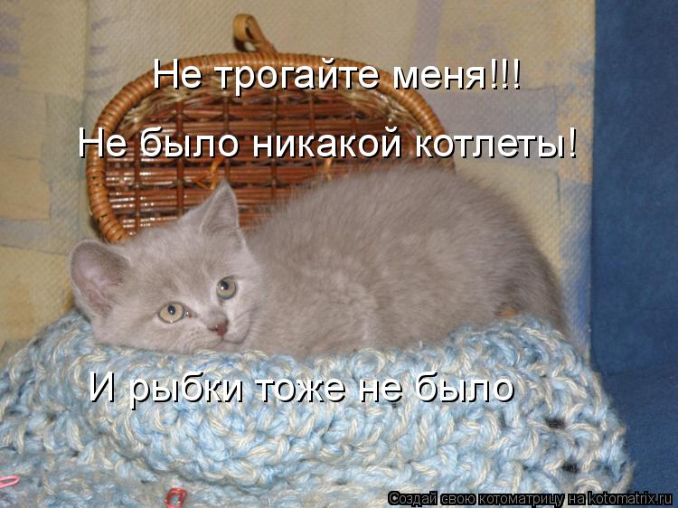 Не трогайте меня!!! Не было никакой котлеты! И рыбки тоже не было... Котоматрица: Не трогайте меня!!! Не было никакой котлеты! И рыбки тоже не было