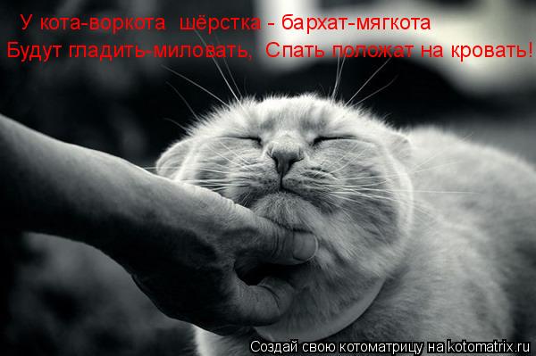 У кота-воркота шёрстка - бархат-мягкота Будут гладить-миловать, Спать положат на кровать!... Котоматрица: У кота-воркота шёрстка - бархат-мягкота Будут гладить-миловать, Спать положат на кровать!