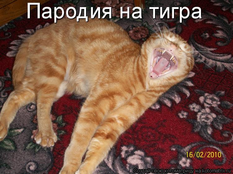 Пародия на тигра... Котоматрица: Пародия на тигра