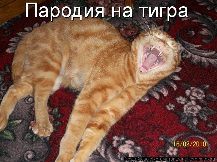 Котоматрица: Пародия на тигра