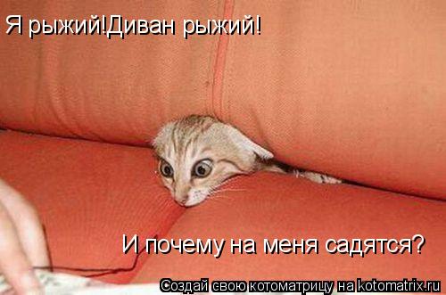 Я рыжий!Диван рыжий! И почему на меня садятся? И почему на меня садятся?... Котоматрица: Я рыжий!Диван рыжий! И почему на меня садятся? И почему на меня садятся?