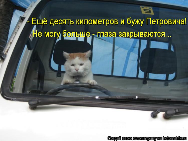 Котоматрица: - Ещё десять километров и бужу Петровича! Не могу больше - глаза закрываются...